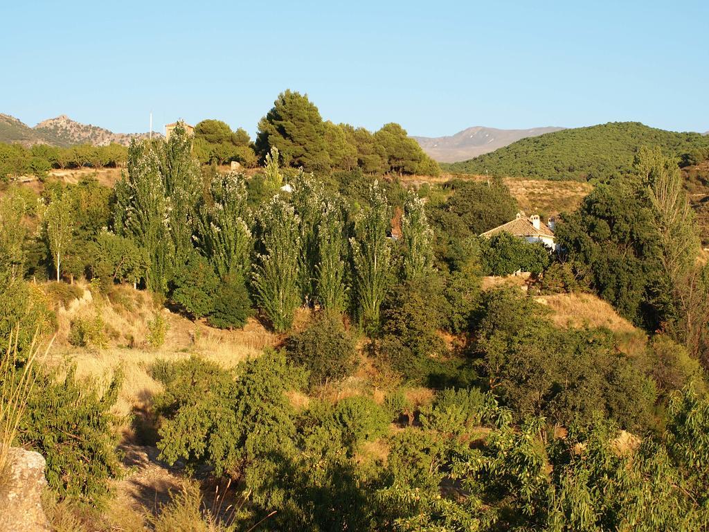 Cortijo Balzain Apartamento La Zubia  Exterior foto