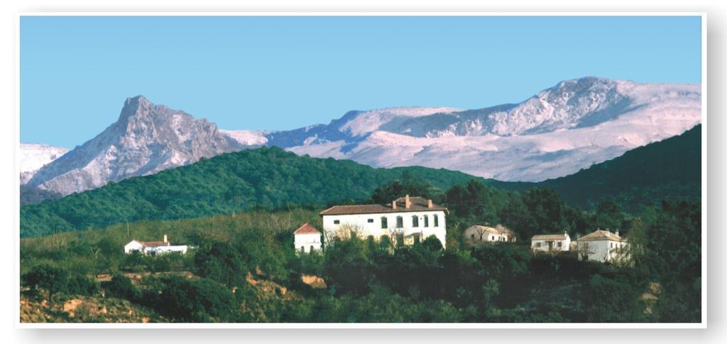 Cortijo Balzain Apartamento La Zubia  Exterior foto